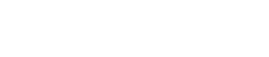 ZElectric Logo